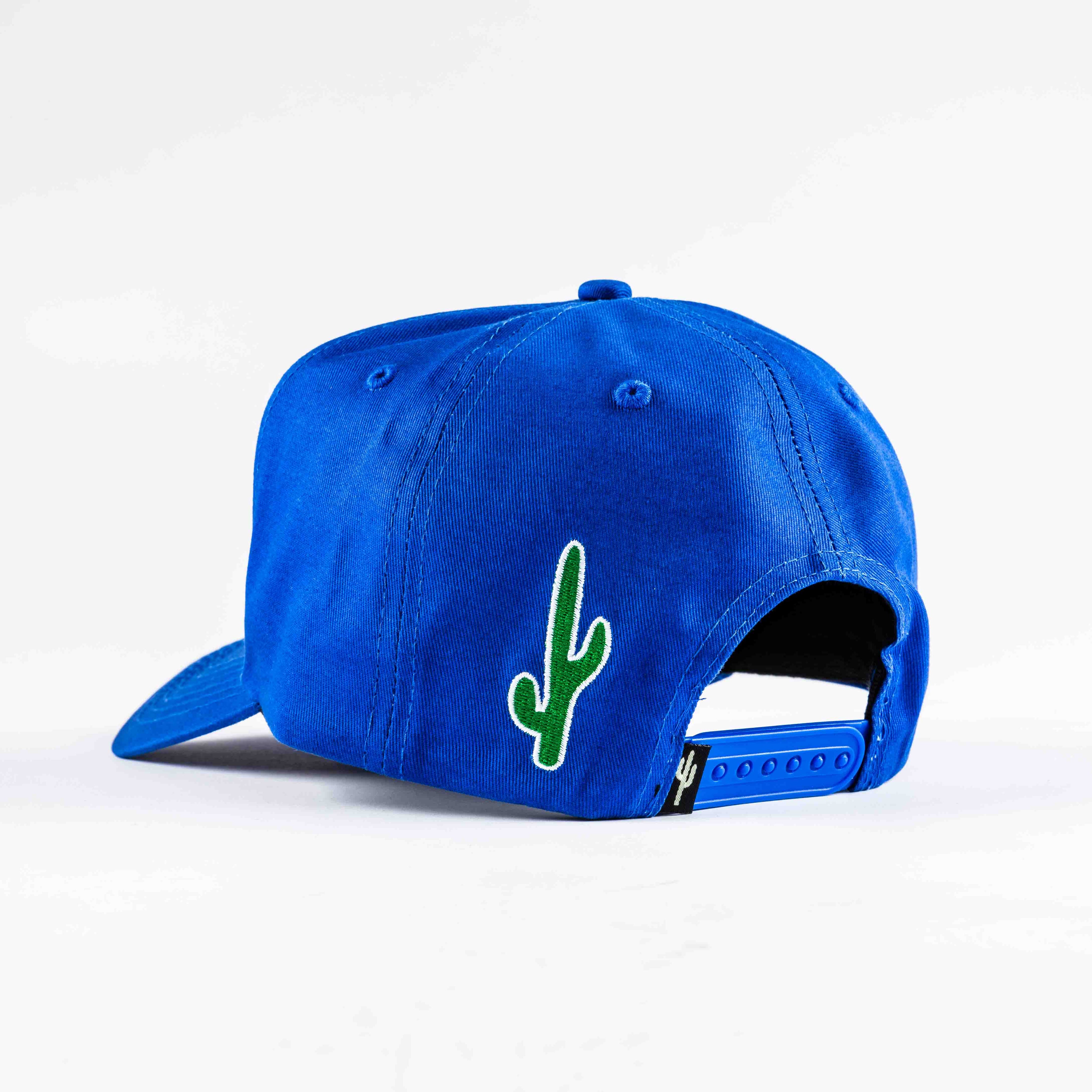 Arizona Coyotes Blue Arizona Hat