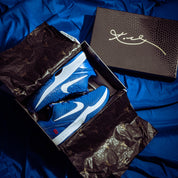 Nike Kobe 6 Protro Dodgers - Common Hype