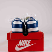 Nike Dunk Low SP Kentucky (2020/2022) - Used - 2020 - Common Hype