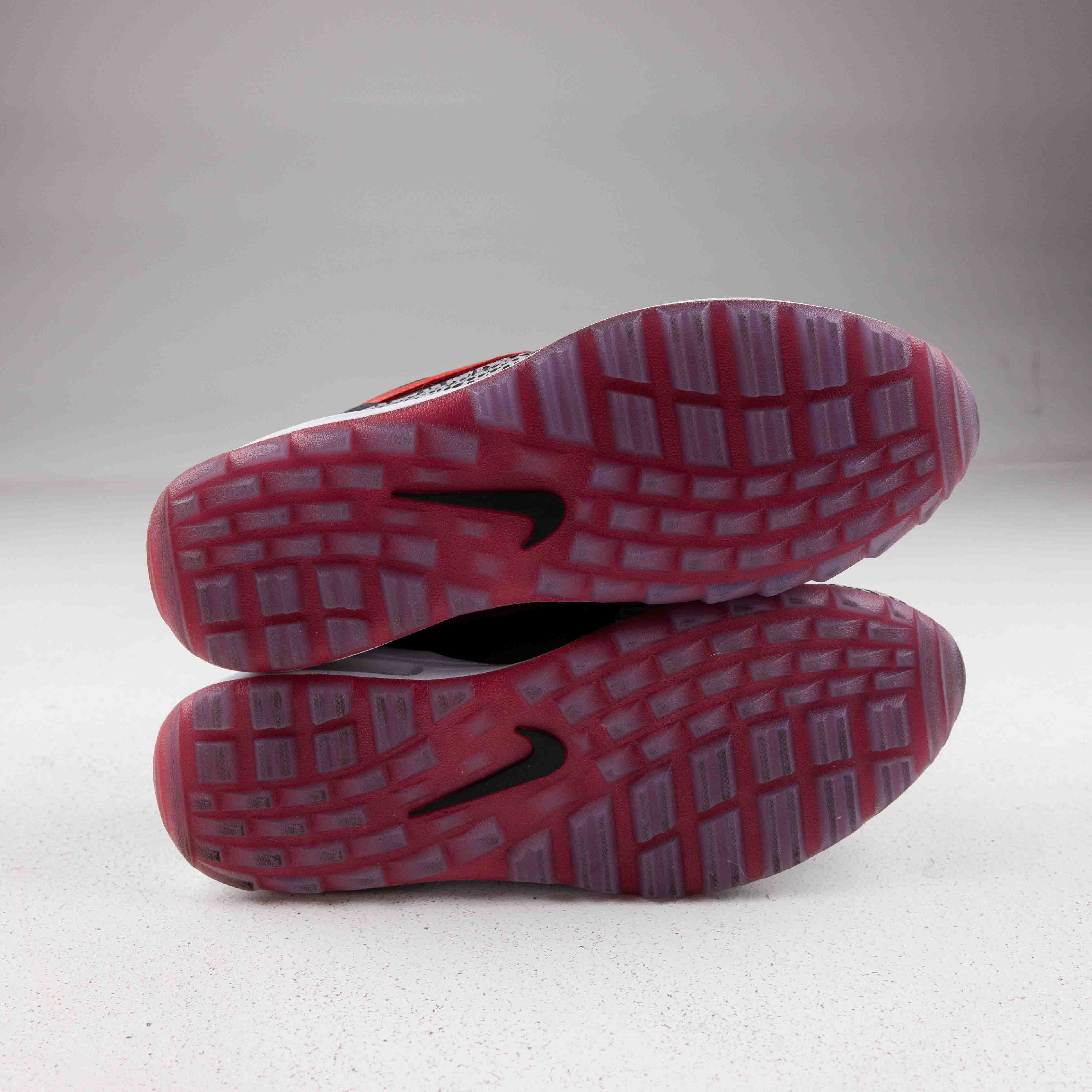 Nike Air Max 1 Golf Safari Bred - Used - 4045