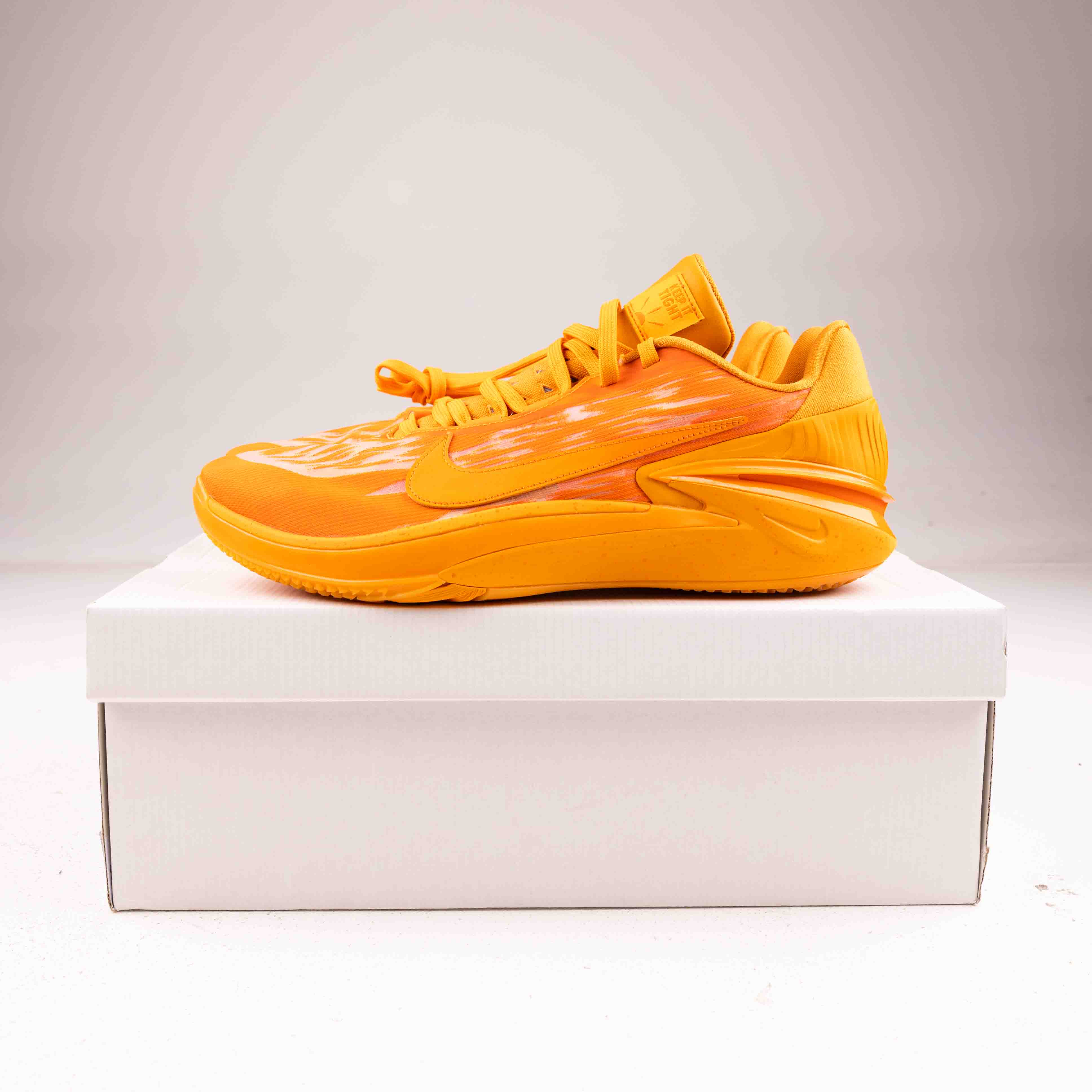 PROMO SAMPLE Nike AirZoom G.T Cut 2 (GAME WORN) Devin Booker - Common Hype