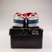 Nike Dunk Low Nke 6.0 White New Redwood - Used - 1328 - Common Hype