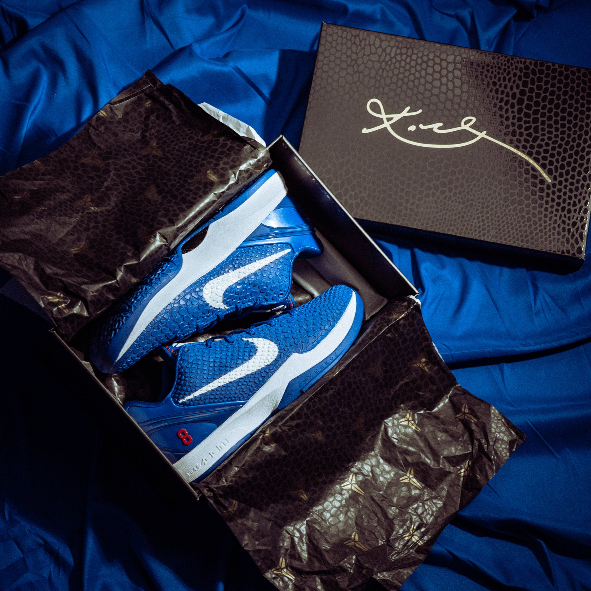 Nike Kobe 6 Protro Dodgers - Common Hype