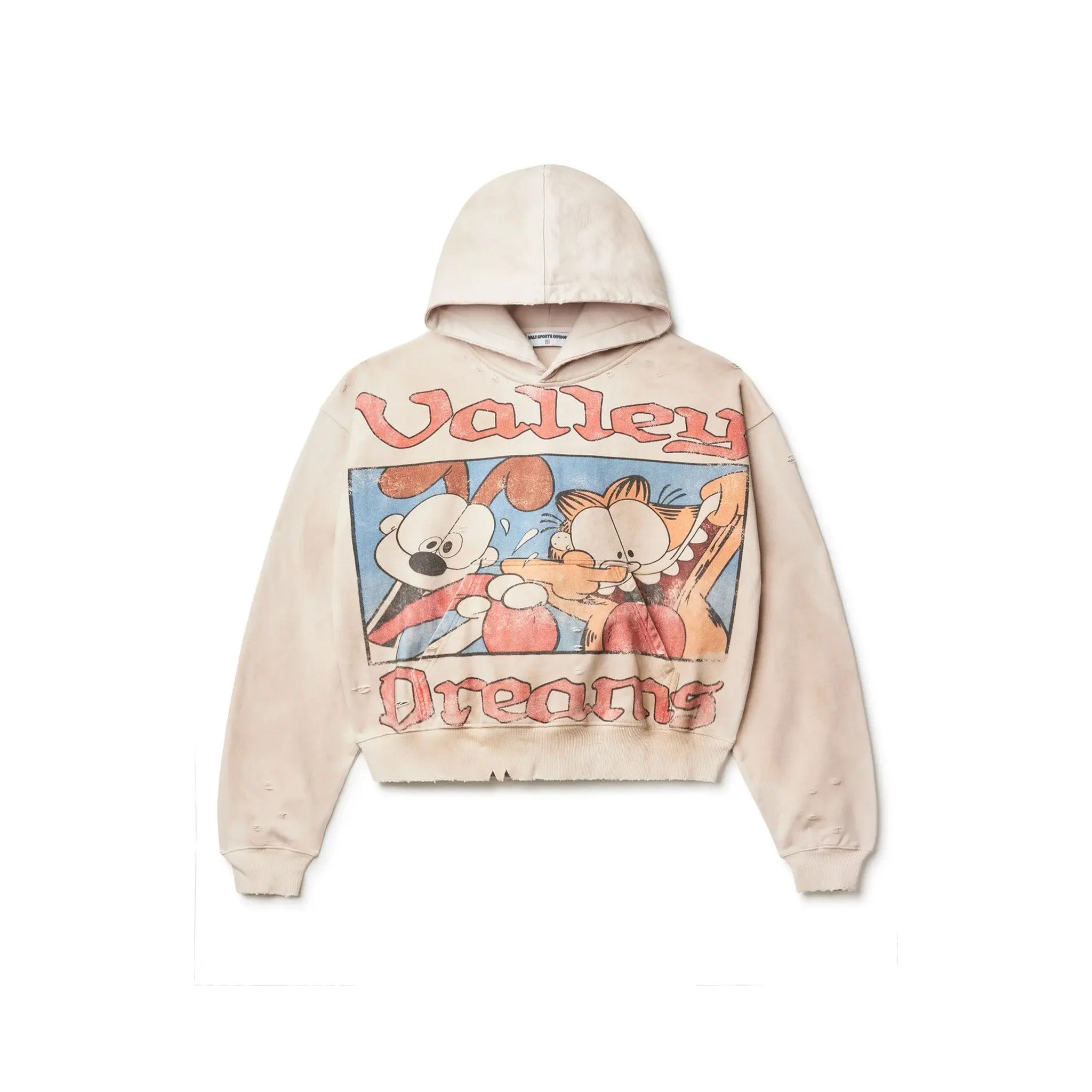 Vale Forever Valley Dreams Sunday Pullover Hoodie – Common Hype