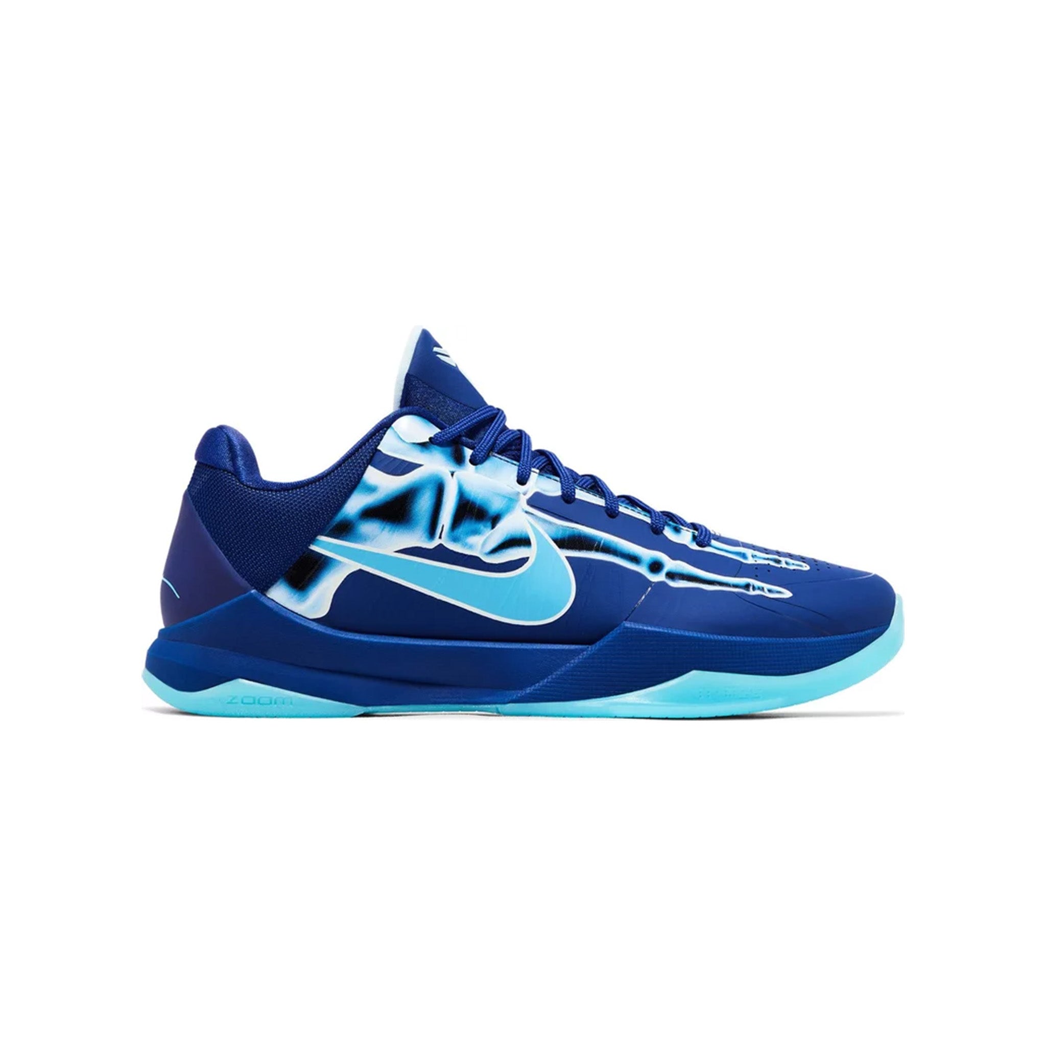 KOBE5XRAY.jpg