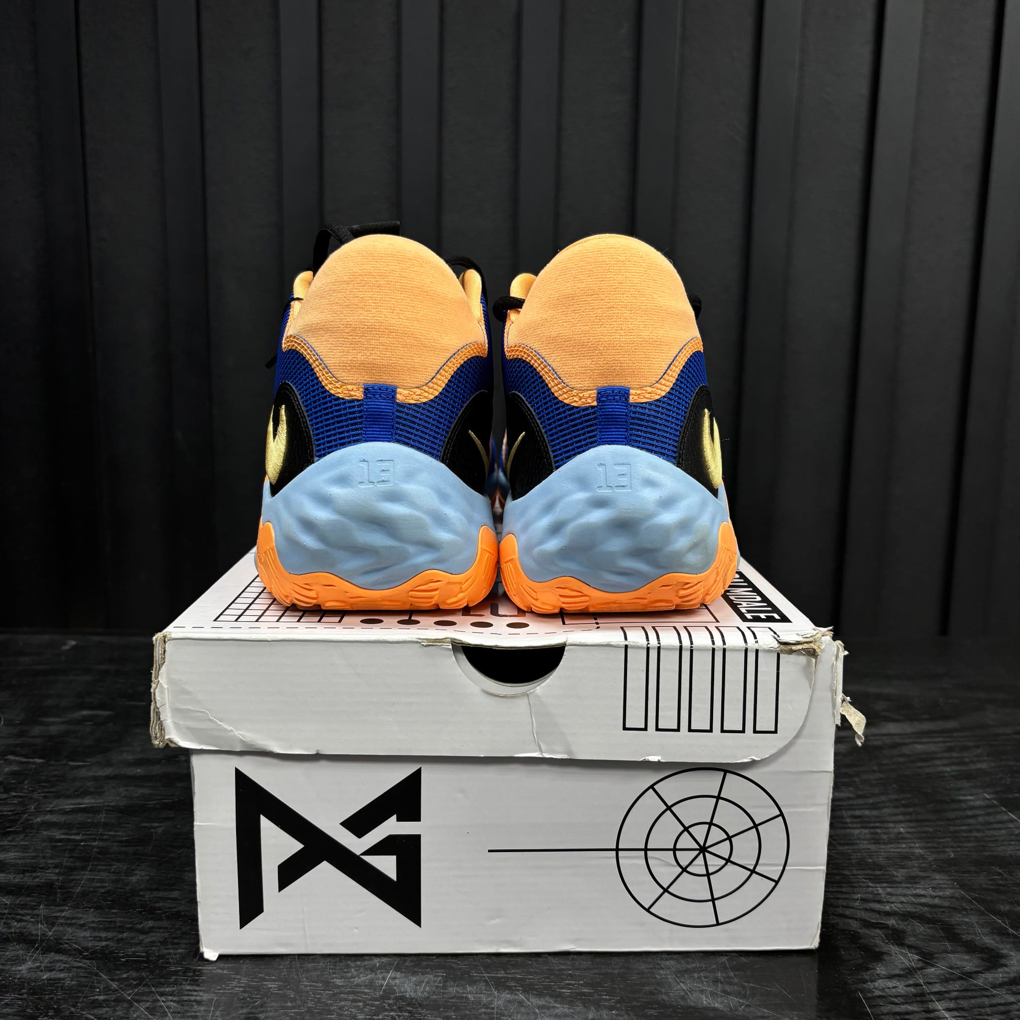 Nike PG 6 Promo Sample (Game Worn)