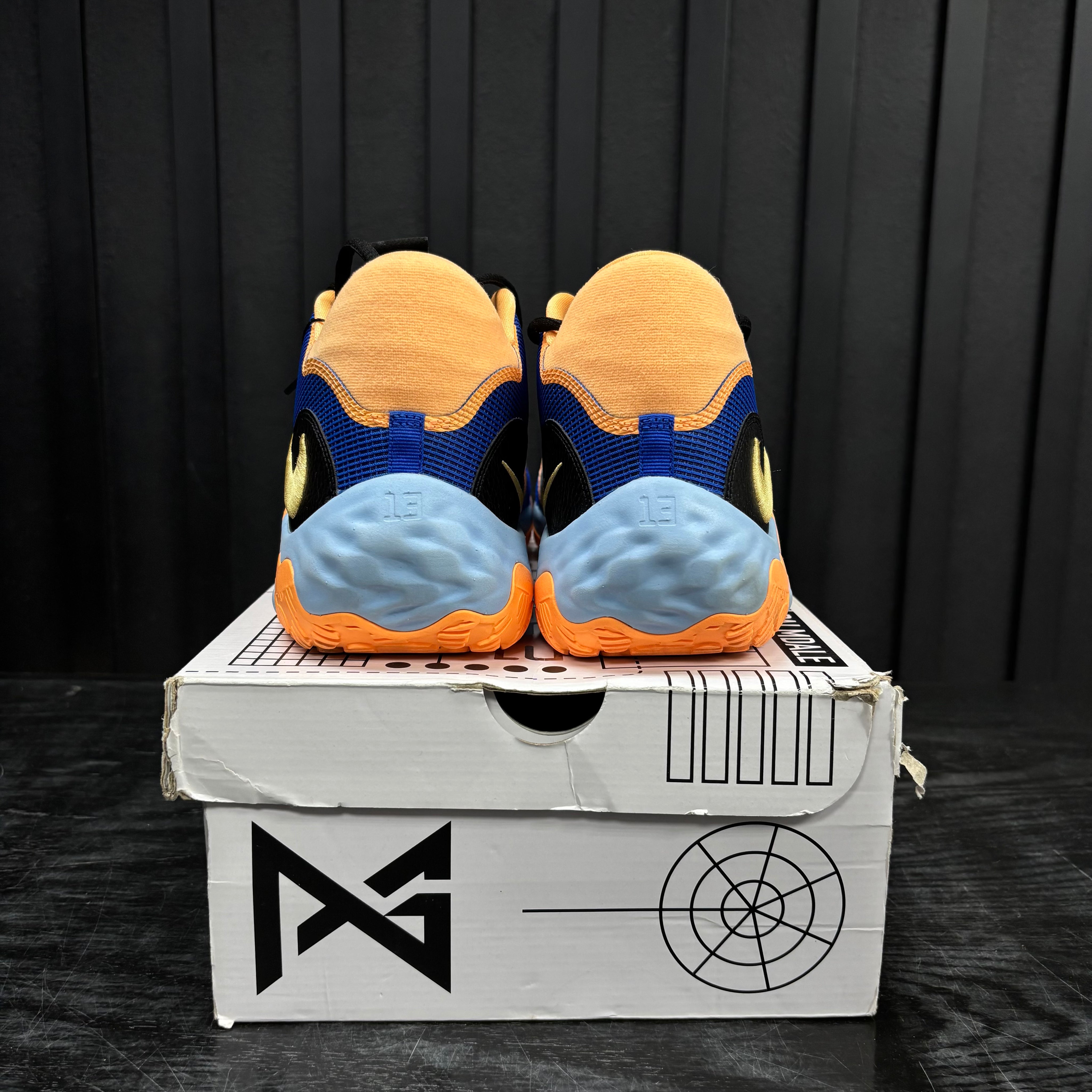 Nike PG 6 Promo Sample (Game Worn)