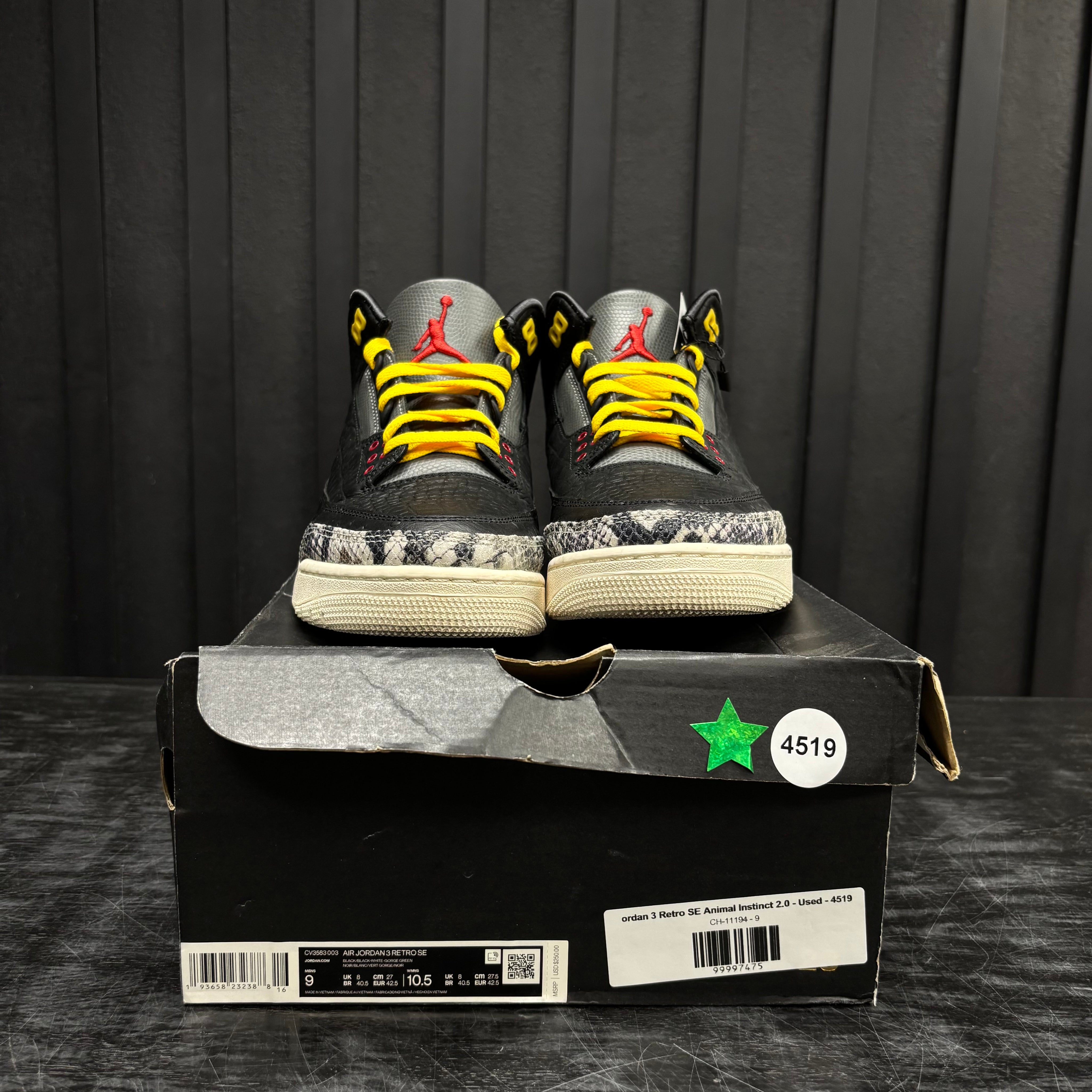 Jordan 3 Retro SE Animal Instinct 2.0 - Used - 4519