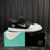Nike SB Dunk Low Supreme Jewel Swoosh Silver - Used - 4573