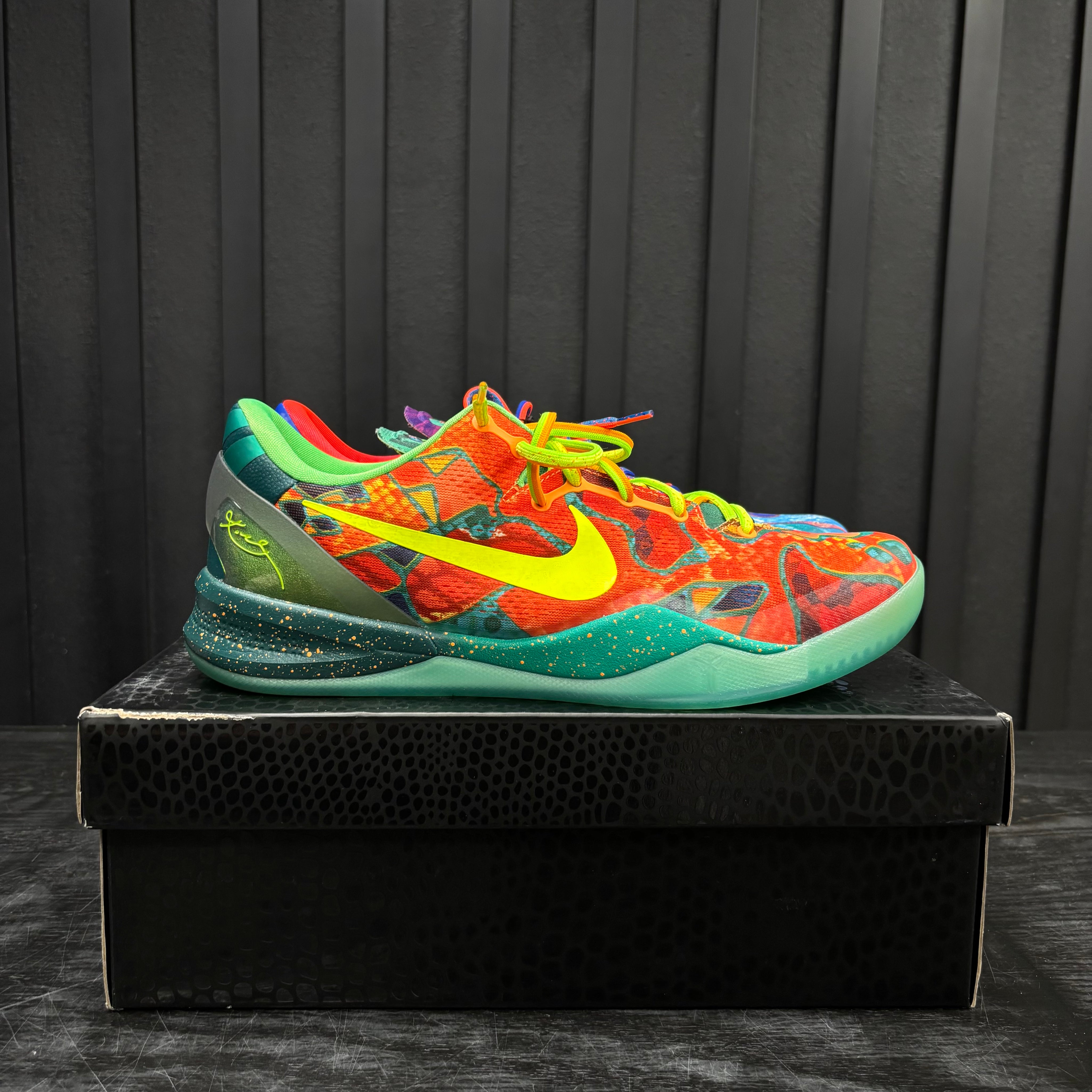 Nike Kobe 8 Protro What The (2025) - Used - 4579