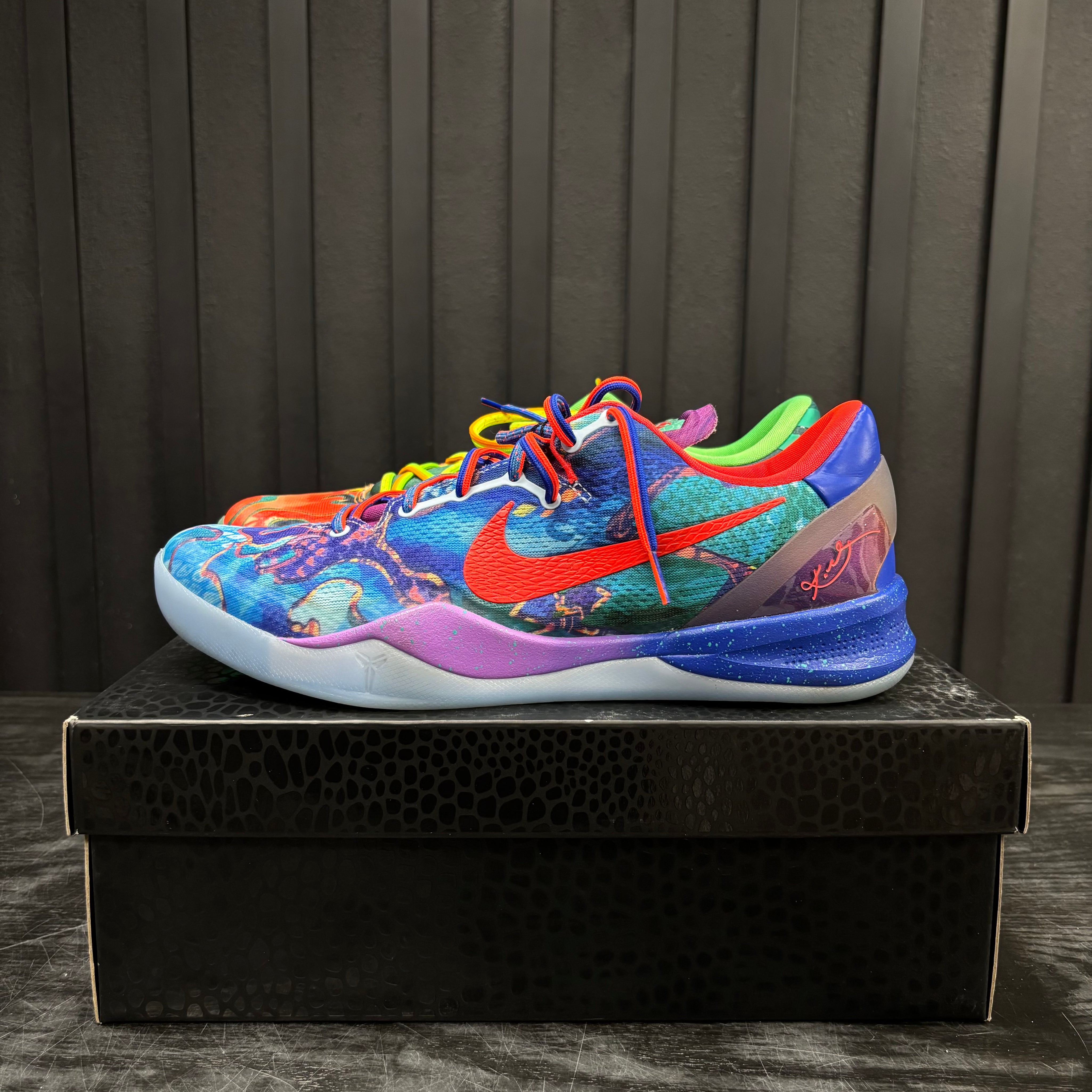 Nike Kobe 8 Protro What The (2025) - Used - 4579