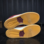 Nike SB Dunk Low Skate Like a Girl - Used - 4557
