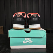 Nike SB Dunk Low Premier Fish Ladder- Used - 4552