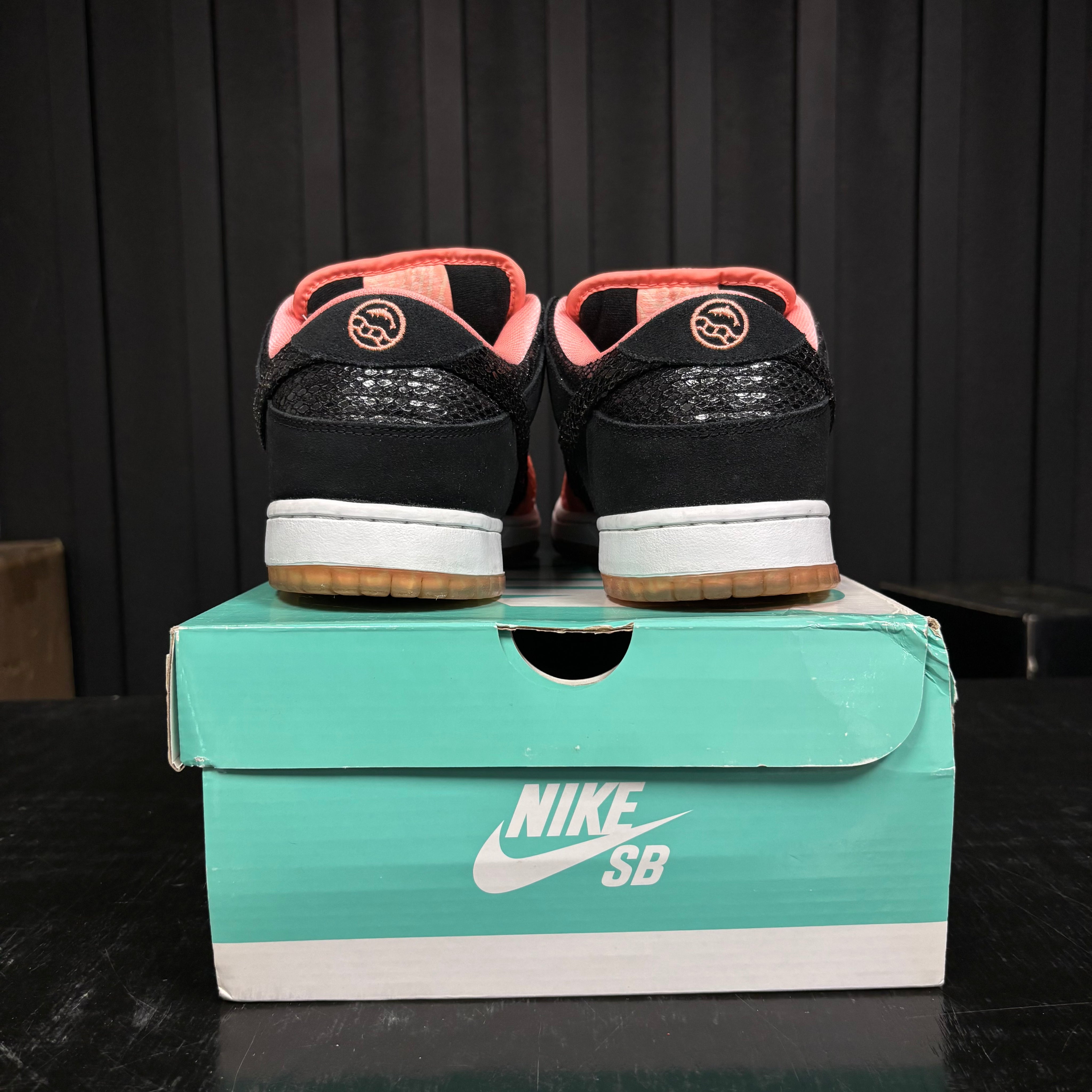Nike SB Dunk Low Premier Fish Ladder- Used - 4552