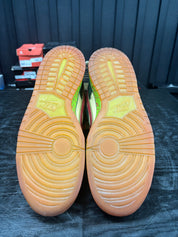 Nike SB Dunk Low Mosquito - Used - 3794