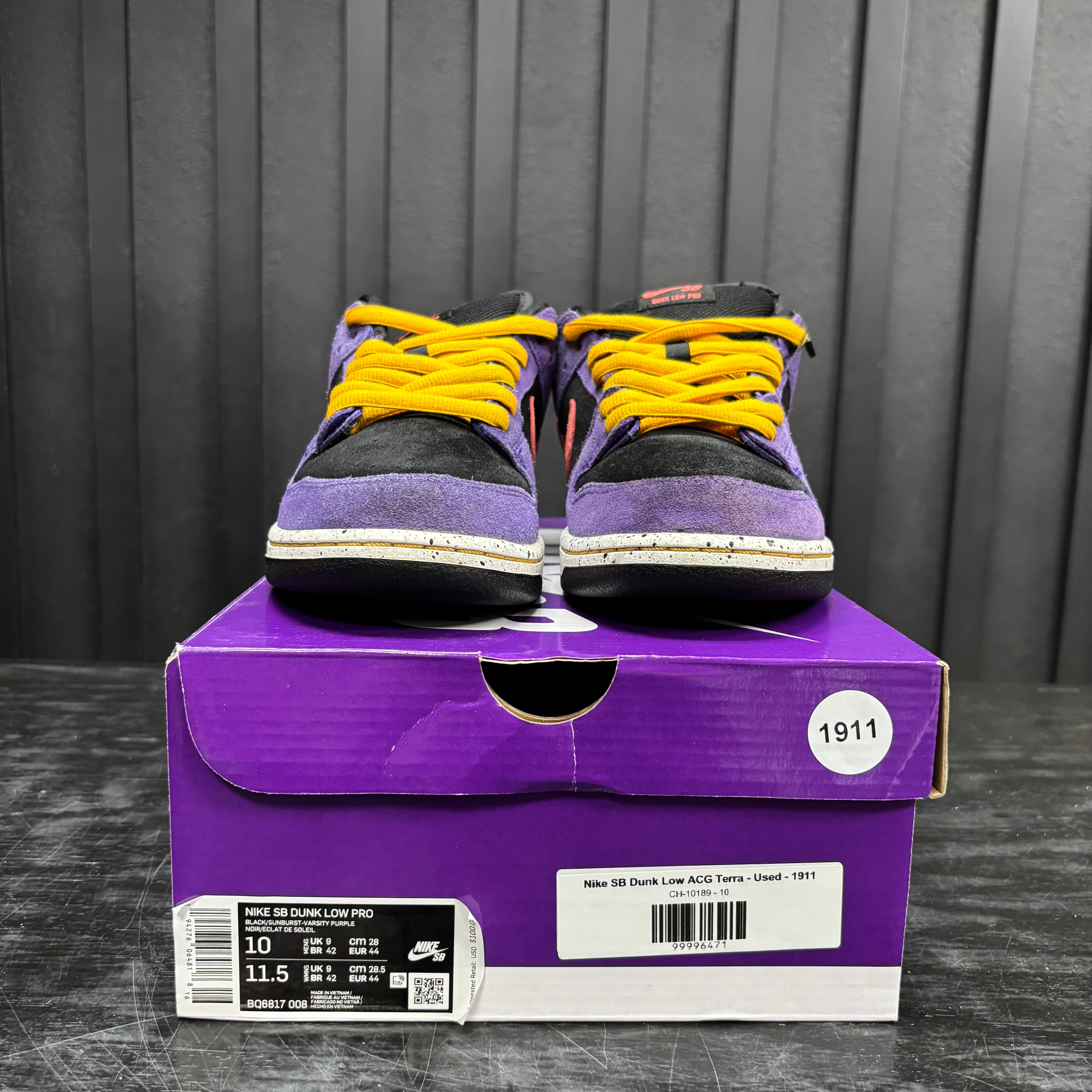 Nike SB Dunk Low ACG Terra - Used - 1911