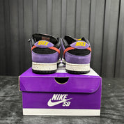Nike SB Dunk Low ACG Terra - Used - 1911