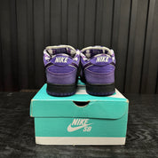 Nike SB Dunk Low Concepts Purple Lobster - Used - 1769