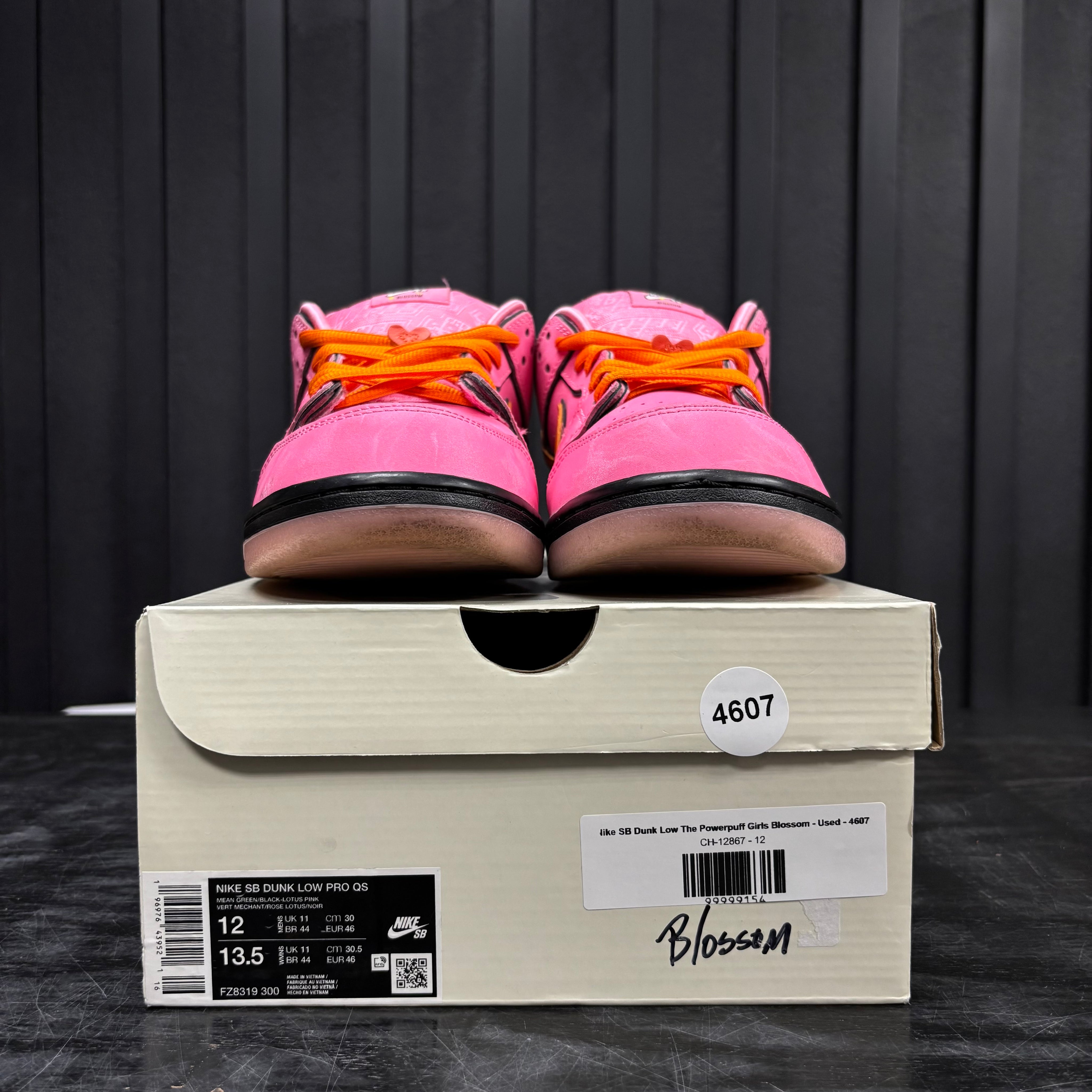 Nike SB Dunk Low The Powerpuff Girls Blossom - Used - 4607