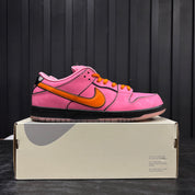 Nike SB Dunk Low The Powerpuff Girls Blossom - Used - 4607