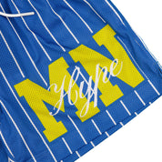 Common Hype Statement Pinstripe Mesh Short Royal Blue