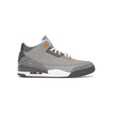 Jordan 3 Retro Cool Grey (2021)