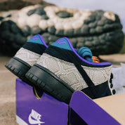 Nike SB Dunk Low Dashawn Jordan Copperhead - Common Hype