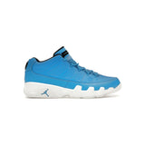 Jordan 9 Retro Low Pantone