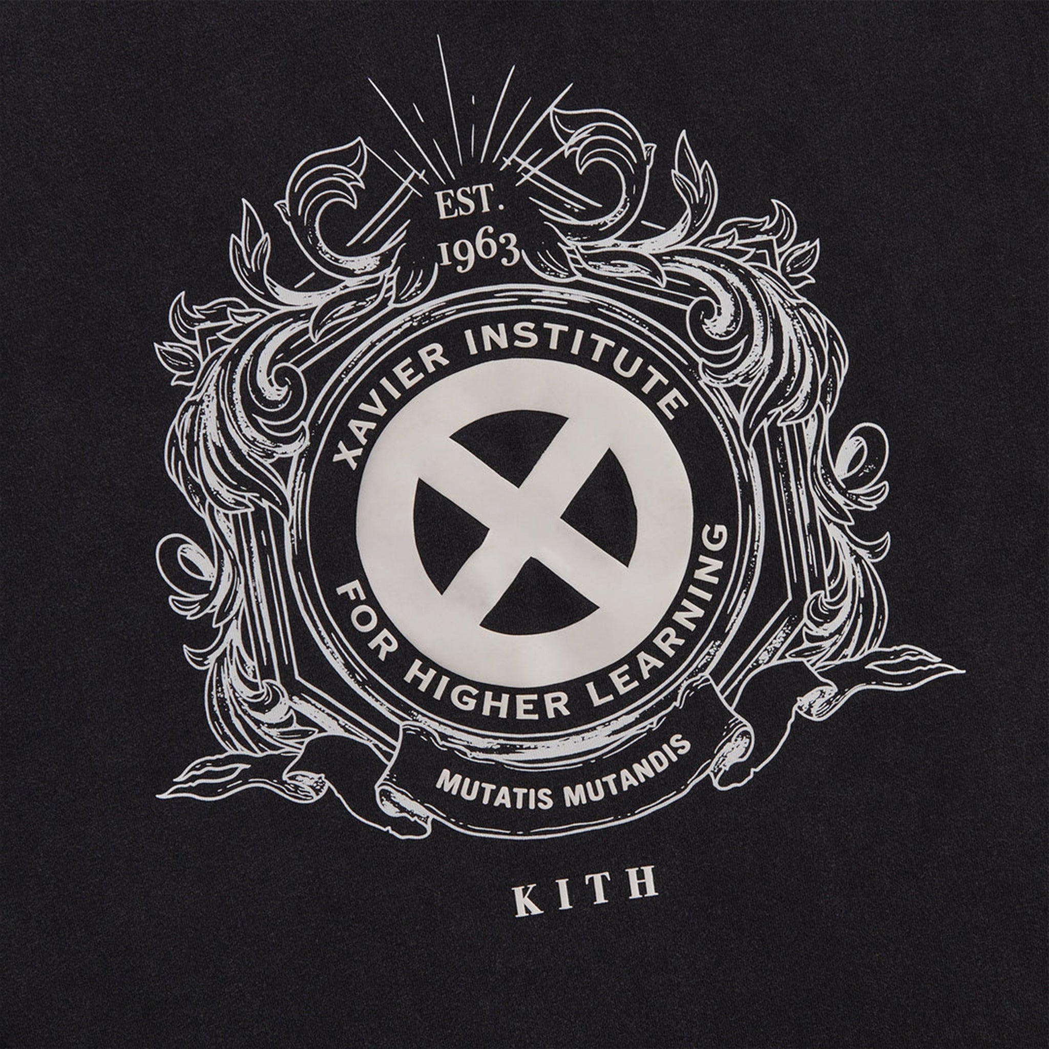 Kith for X-Men Chopper Vintage Tee XXL - Tシャツ/カットソー(半袖 ...