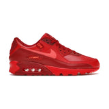 Nike Air Max 90 City Special Chicago