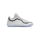 Nike LeBron 23 From This Point Forward