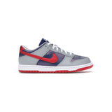 Nike Dunk Low CO.JP Samba (2020)